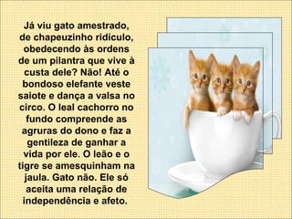 Já viu gato amestrado, de chapeuzinho ridículo, obedecendo às ordens de um pilantra que vive à custa dele? Não! Até o bondoso elefante veste saiote e dança a valsa no circo. O leal cachorro no fundo compreende as agruras do dono e faz a gentileza de ganhar a vida por ele. O leão e o tigre se amesquinham na jaula. Gato não. Ele só aceita uma relação de independência e afeto.  