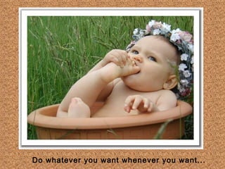 Do whatever you want whenever you want...