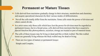 Permanent or Mature Tissues
 Cells derived from meristems gradually change in their structure, metabolism and chemistry
and acquire specialized characters by their various modes of differentiation.
 Not all the cells totally differ from the meristems. Some cells retain the power of division and
others cannot divide.
 In a strict sense only those cells which have lost the power for division must be regarded as
permanent tissues, but in a broad sense, cells derived from meristem that have acquired a
special function like photosynthesis, secretion, storage are treated as part of matured tissue.
 The cells of these tissues may be living or dead and thin or thick walled. The thin walled
tissue are generally living whereas the thick walled may be dead or living.
 There are two types of mature or permanent tissues:
Simple and Complex.
 