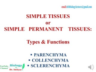 SIMPLE TISSUES
or
SIMPLE PERMANENT TISSUES:
Types & Functions
 PARENCHYMA
 COLLENCHYMA
 SCLERENCHYMA
 