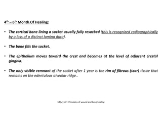 UDM - AY - Principles of wound and bone healing
4th – 6th Month Of Healing:
• The cortical bone lining a socket usually fully resorbed (this is recognized radiographically
by a loss of a distinct lamina dura).
• The bone fills the socket.
• The epithelium moves toward the crest and becomes at the level of adjacent crestal
gingiva.
• The only visible remnant of the socket after 1 year is the rim of fibrous (scar) tissue that
remains on the edentulous alveolar ridge..
 