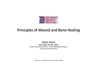 Principles of Wound and Bone Healing
Abed Yakan
DDS, PGDip, MS, PhD - OMFS
Division of Clinical Dentistry - Oral & Maxillofacial Surgery
University of Detroit Mercy
UDM - AY - Principles of wound and bone healing
 
