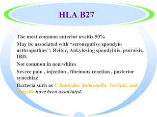 HLA B27
· The most common anterior uveitis 50%
· May be associated with “seronegative spondylo
arthropathies”: Reiter, Ankylosing spondylitis, psoraisis,
IBD.
· Not common in non whites
· Severe pain , injection , fibrinous reaction , posterior
synechiae
· Bacteria such as C hlamydia, Salmonella, Yersinia, and
Shigella have been associated.
 
