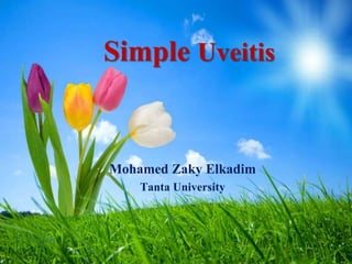 Simple Uveitis
· Mohamed Zaky Elkadim
· Tanta University
 