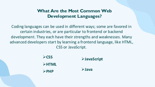 What is web development, and what are its types? | PPT