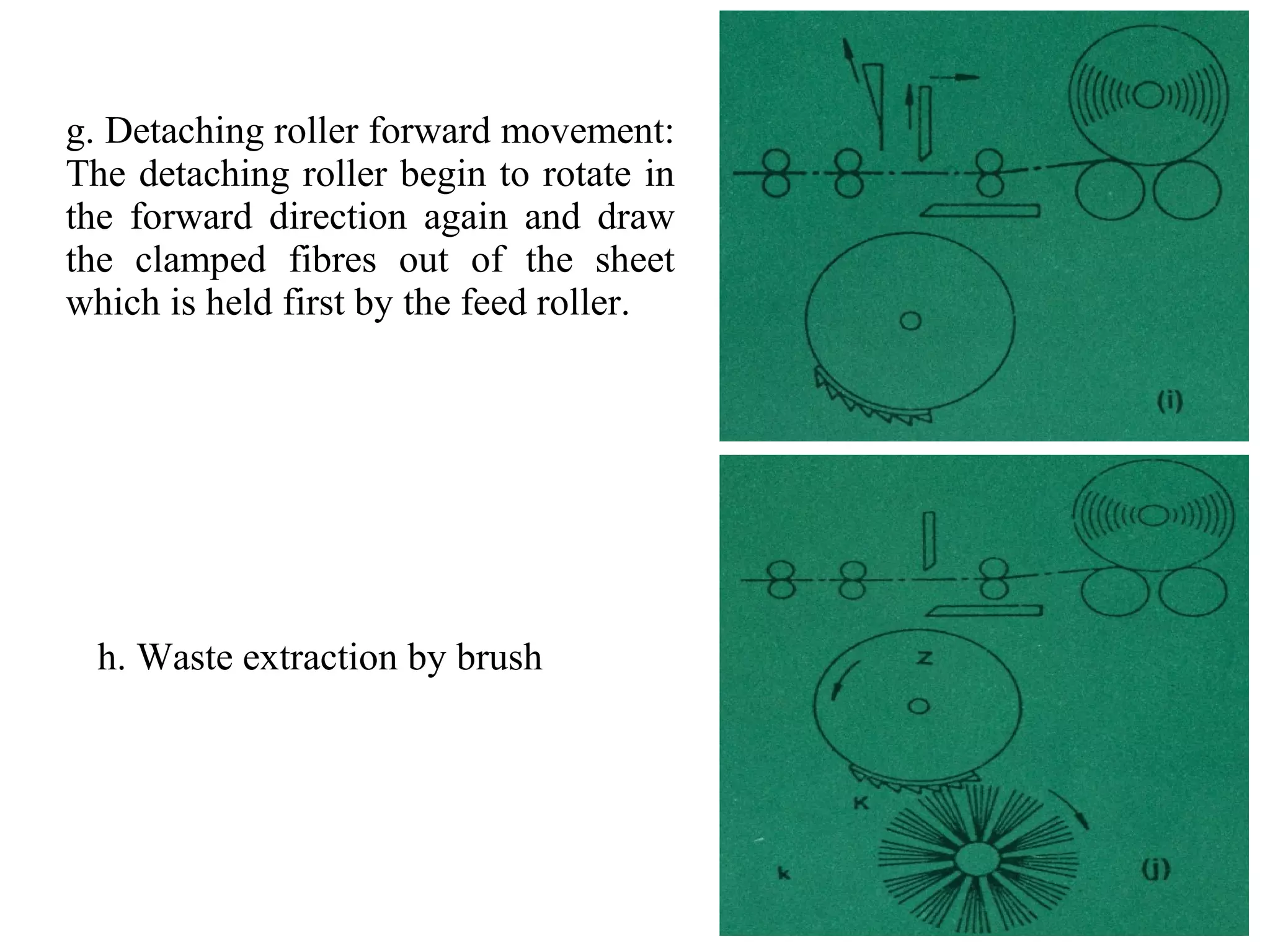 g. Detaching roller forward movement:
The detaching roller begin to rotate in
the forward direction again and draw
the clamped fibres out of the sheet
which is held first by the feed roller.

h. Waste extraction by brush

 