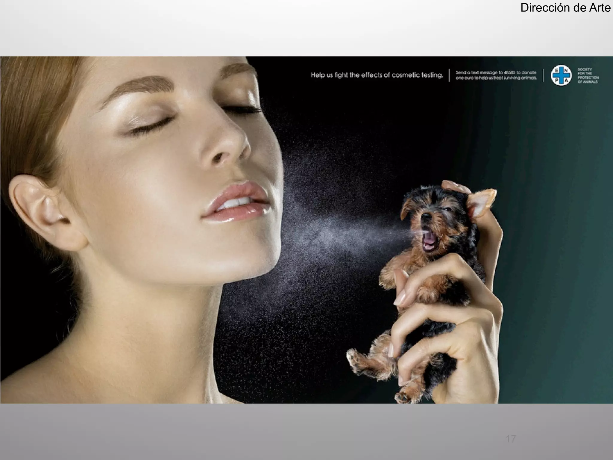 Dirección de Arte




17
 