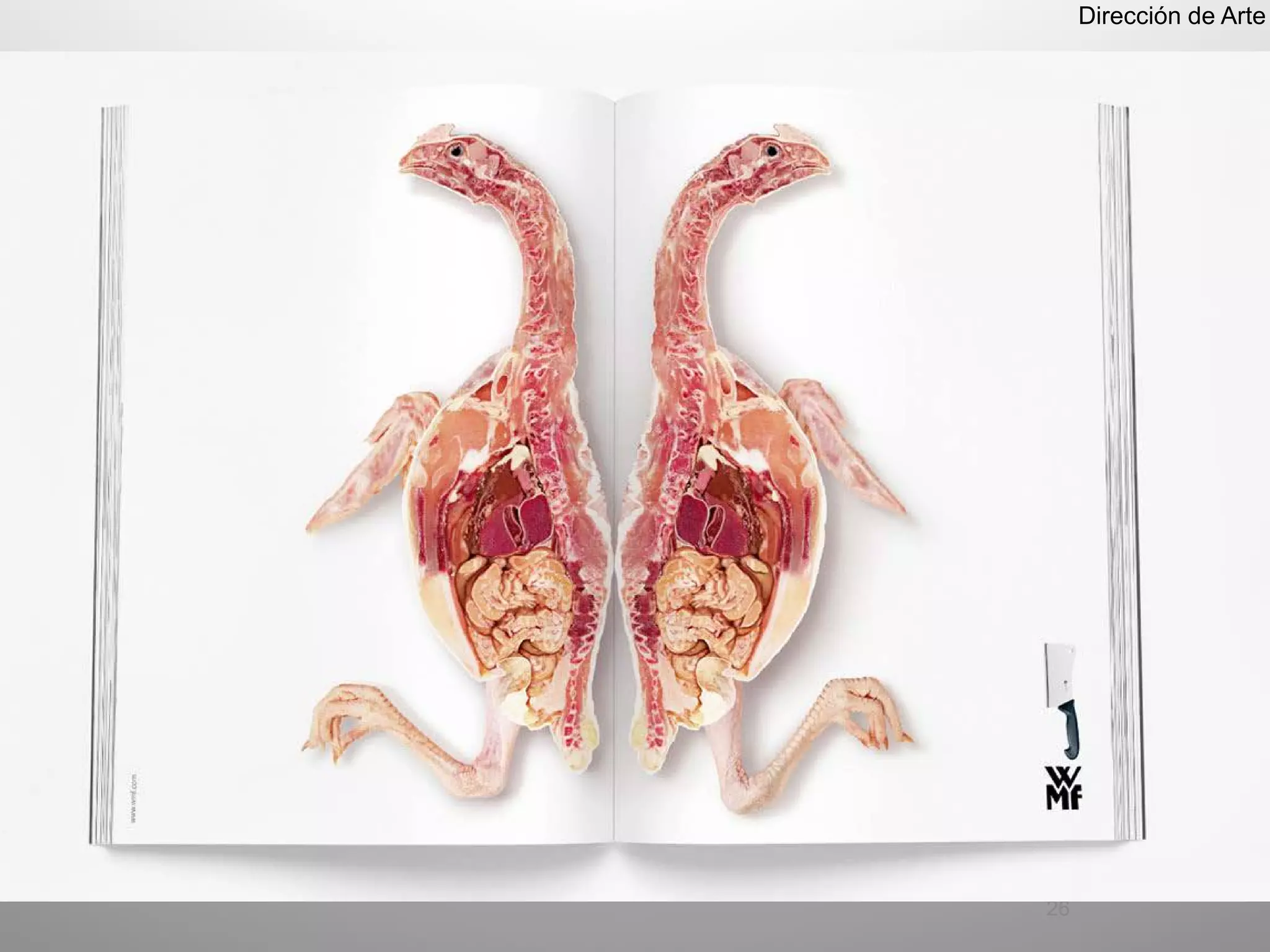 Dirección de Arte




26
 