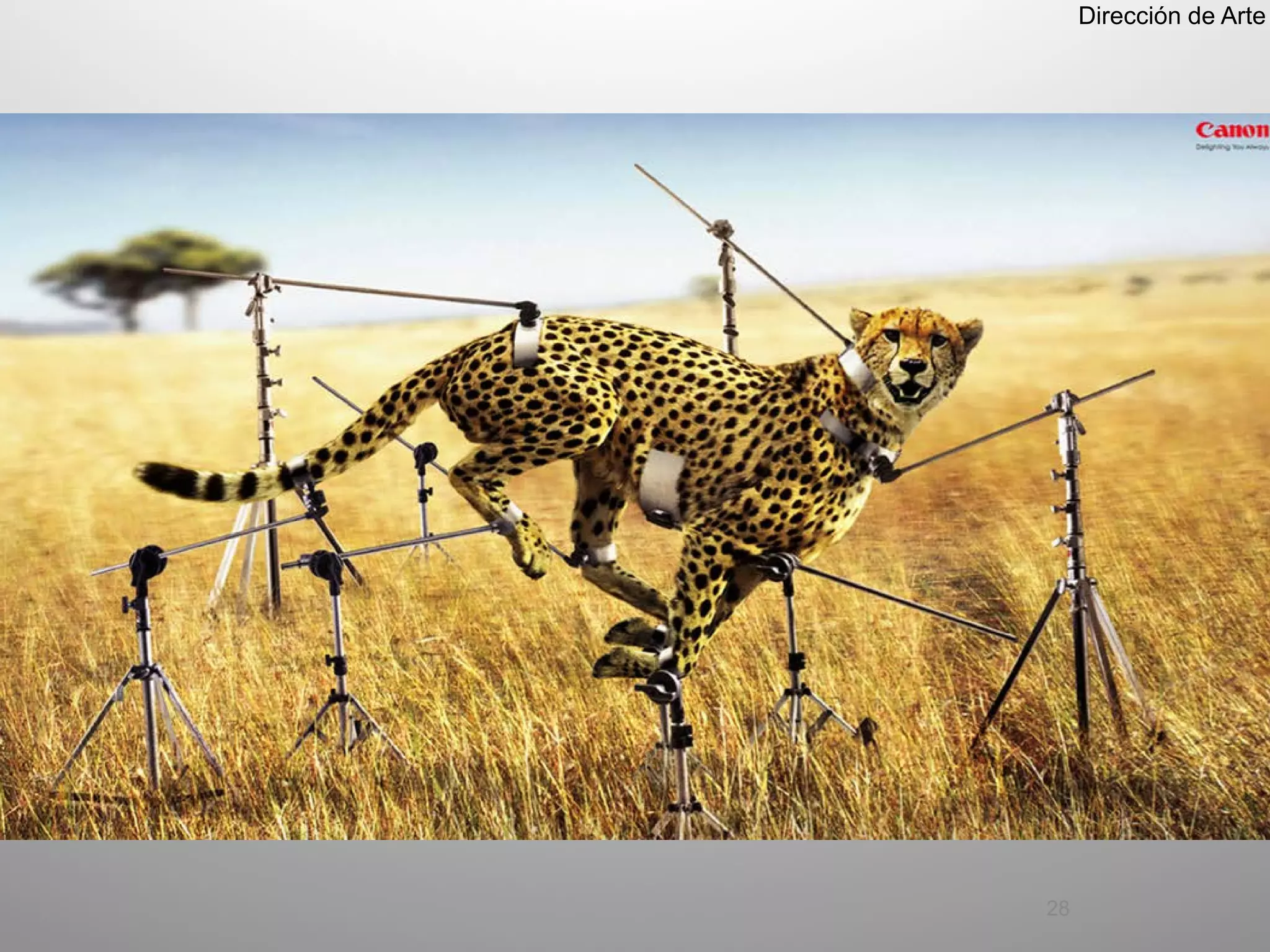 Dirección de Arte




28
 