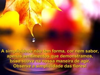 A simplicidade não tem forma, cor nem sabor, apenas sentimentos que demonstramos, brisa suave na nossa maneira de agir. Observe a simplicidade das flores! 