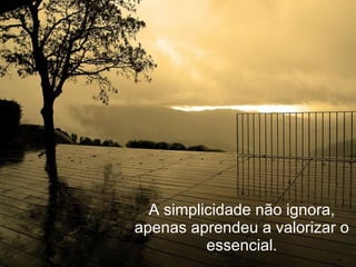 A simplicidade não ignora, apenas aprendeu a valorizar o essencial. 