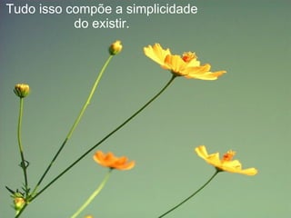 Tudo isso compõe a simplicidade do existir. 