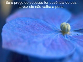 Se o preço do sucesso for ausência de paz, talvez ele não valha a pena. 