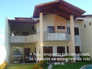 A rigor, enquanto buscam coisas, as criaturas se esquecem da vida em si. 