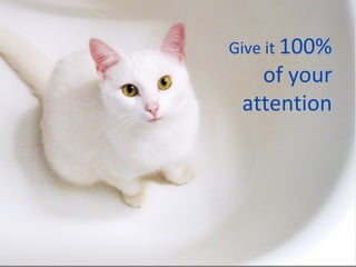 Give it  100% of your attention 