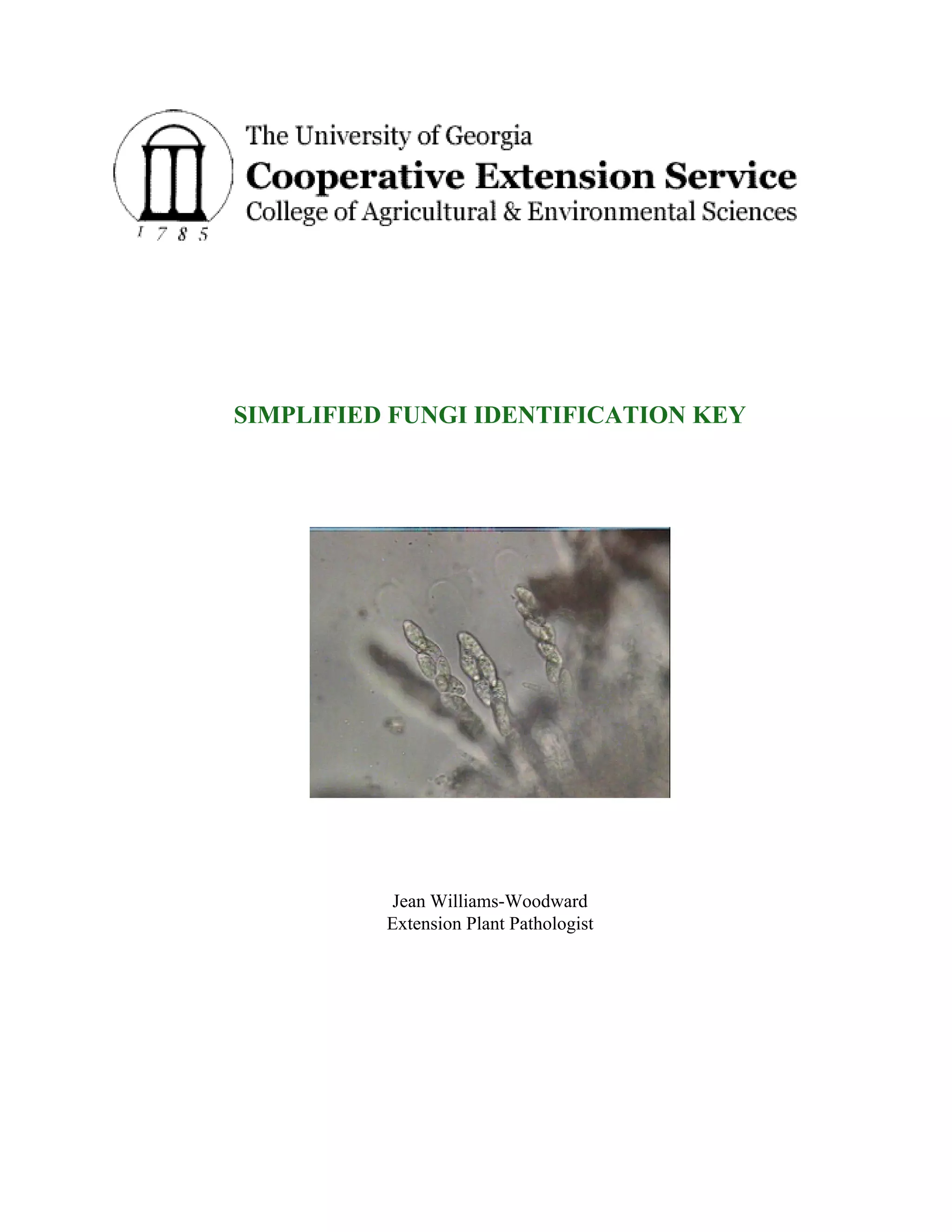 Savanna Fungi: Key To Understanding Ecosystem Health - cnkj2df
