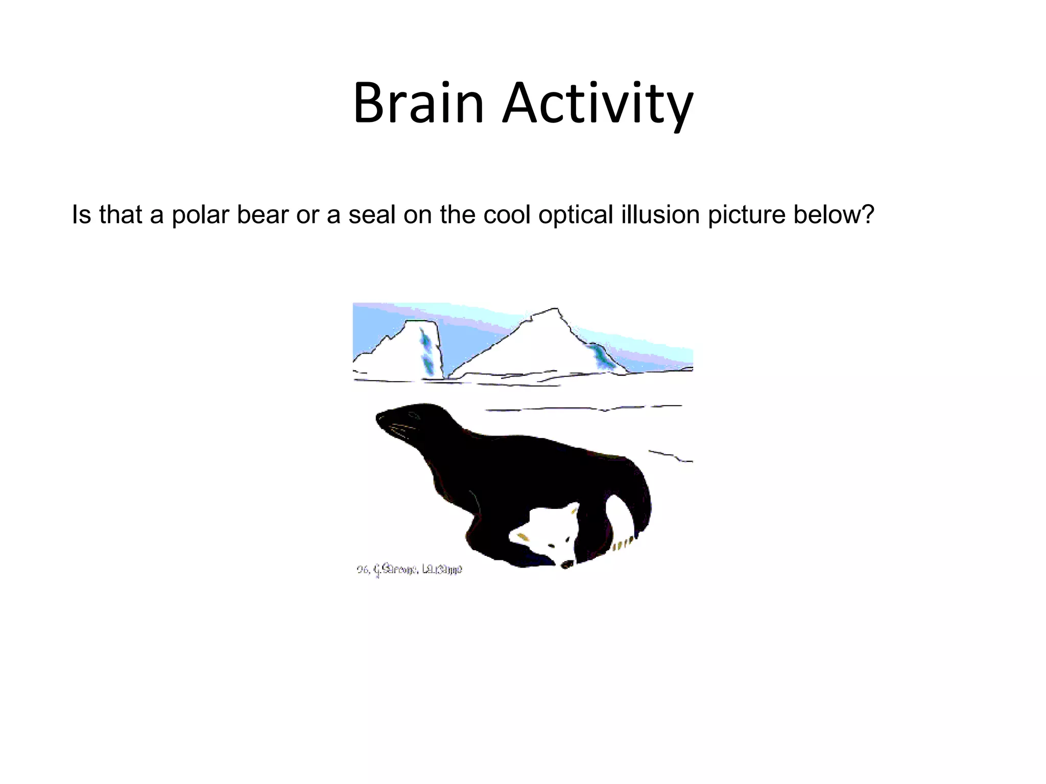 Brain Activity
Is that a polar bear or a seal on the cool optical illusion picture below?
 