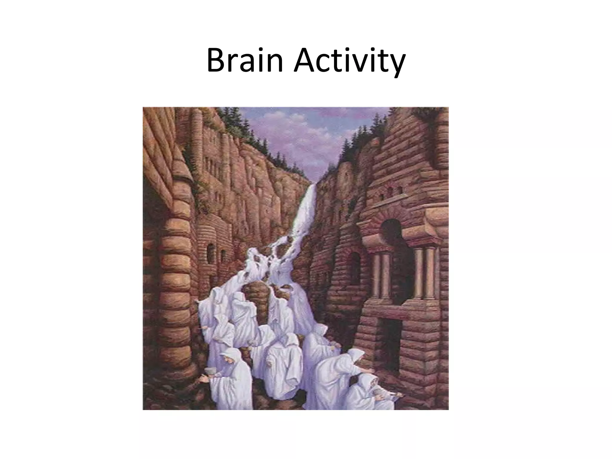 Brain Activity
 