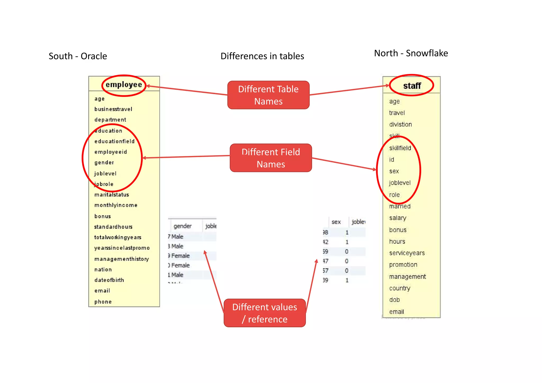 South - Oracle North - Snowflake
Differences in tables
Different Table
Names
Different Field
Names
Different values
/ reference
 