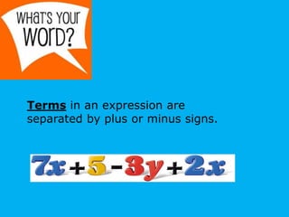 Terms in an expression are
separated by plus or minus signs.
 