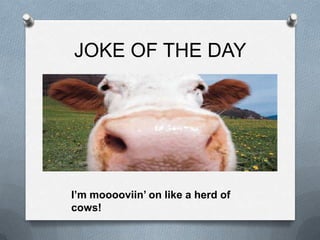 JOKE OF THE DAY




I’m mooooviin’ on like a herd of
cows!
 