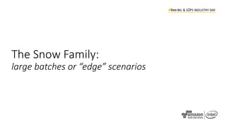 The Snow Family:
large batches or “edge” scenarios
 