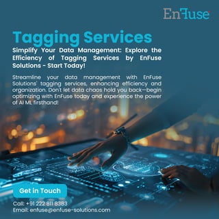 Simplify Your Data Management: Explore the Efficiency of Tagging Services by EnFuse Solutions - Start Today!