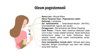 Oleum pogostemonii
Nama Lain : Minyak Nilam
Nama Tanaman Asal : Pogostemon cablin
Keluarga : Lamiaceae
Zat berkhasiat/isi : Seskuiterpen-terpen (40-45%),
sinamilaldehida, egenol, dan azulen.
Penggunaan : Zat tambahan dan Bahan Pewangi
Cara Panen : Panen nilam biasanya dilakukan pada
umur 6 atau 7 bulan setelah tanaman. Bulan berikutnya
berturut-turut setiap 3-4 bulan berikutnya. Daun
sebelah bawah sekali sudah menampakkan tanda-
tanda menguning.
Cara mendapatkan minyak atsiri : Minyak atsiri yang
diperoleh dengan penyulingan uap daun dan batang
yang telah diperas.
 