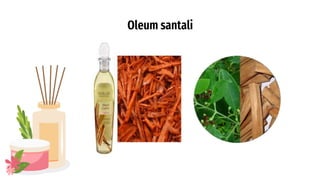 Oleum santali
 