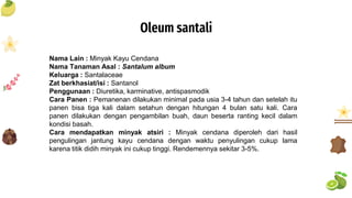 Oleum santali
Nama Lain : Minyak Kayu Cendana
Nama Tanaman Asal : Santalum album
Keluarga : Santalaceae
Zat berkhasiat/isi : Santanol
Penggunaan : Diuretika, karminative, antispasmodik
Cara Panen : Pemanenan dilakukan minimal pada usia 3-4 tahun dan setelah itu
panen bisa tiga kali dalam setahun dengan hitungan 4 bulan satu kali. Cara
panen dilakukan dengan pengambilan buah, daun beserta ranting kecil dalam
kondisi basah.
Cara mendapatkan minyak atsiri : Minyak cendana diperoleh dari hasil
pengulingan jantung kayu cendana dengan waktu penyulingan cukup lama
karena titik didih minyak ini cukup tinggi. Rendemennya sekitar 3-5%.
 