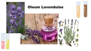 Oleum Lavendulae
 