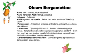 Oleum Bergamottae
Nama lain : Minyak Jeruk Bergamot
Nama Tanaman Asal : Citrus bergamia
Keluarga : Rutaceae
Kandungan/isi berkhasiat : Terdiri dari fraksi volatil dan fraksi no-
volatil
Penggunaan : Antibakteri, antistres, antiradang, antiseptik, deodoran,
ekspektoran
Cara Panen : Dipanen pada umur 6 - 8 bulan setelah bunganya
mekar. Tangkai buah dikerat dengan gunting pangkas sekitar 1 - 2 cm
dari buahnya, dan tangkai yang terlalu panjang dapat merusak buah
lain ketika dimasukkan ke dalam keranjang.
Cara memperoleh minyak atsiri : Minyak bergamot diperoleh dari
pengepresan tanpa panas.
 