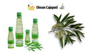 Oleum Cajuputi
 
