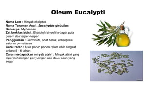 Oleum Eucalypti
Nama Lain : Minyak ekaliptus
Nama Tanaman Asal : Eucalyptus globullus
Keluarga : Myrtaceae
Zat berkhasiat/isi : Ekaliptol (sineol) terdapat pula
pinem dan terpen-terpen
Penggunaan : Germisida, obat batuk, antiseptika
saluran pernafasan
Cara Panen : Usia panen pohon relatif lebih singkat
antara 5 – 6 tahun
Cara mendapatkan minyak atsiri : Minyak atsiri yang
diperoleh dengan penyulingan uap daun-daun yang
segar
 