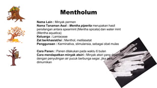 Mentholum
Nama Lain : Minyak permen
Nama Tanaman Asal : Mentha piperita merupakan hasil
persilangan antara spearmint (Mentha spicata) dan water mint
(Mentha aquatica)
Keluarga : Lamiaceae
Zat berkhasiat/isi : Menthol, metilasetat
Penggunaan : Karminativa, stimulansia, sebagai obat mulas
Cara Panen : Panen dilakukan pada waktu 6 bulan
Cara mendapatkan minyak atsiri : Minyak atsiri yang diperoleh
dengan penyulingan air pucuk berbunga segar, jika perlu
dimurnikan
 