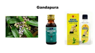 Gandapura
 