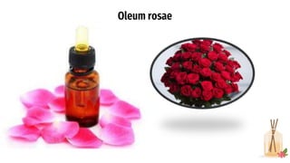 Oleum rosae
 