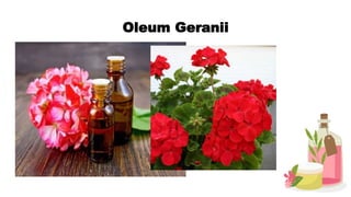 Oleum Geranii
 
