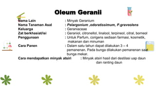 Oleum Geranii
Nama Lain : Minyak Geranium
Nama Tanaman Asal : Pelargonium ,odoratissimum, P.graveolens
Keluarga : Geraniaceae
Zat berkhasiat/isi : Geraniol, citronellol, linalool, terpineol, citral, borneol
Penggunaan : Untuk Parfum, corigens sediaan farmasi, kosmetik,
makanan dan minuman
Cara Panen : Dalam satu tahun dapat dilakukan 3 – 4
pemanenan. Pada bunga dilakukan pemanenan saat
bunga mekar.
Cara mendapatkan minyak atsiri : Minyak atsiri hasil dari destilasi uap daun
dan ranting daun
 