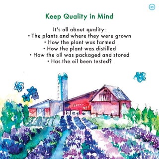 Keep Quality in Mind
Keep Quality in Mind
It’s all about quality:
• The plants and where they were grown
• How the plant was farmed
• How the plant was distilled
• How the oil was packaged and stored
• Has the oil been tested?
35
35
 