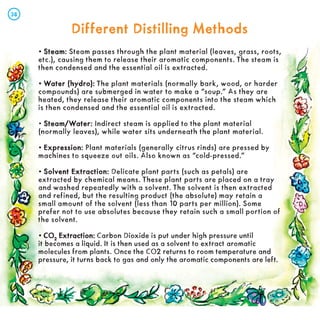 Different Distilling Methods
Different Distilling Methods
• Steam:
Steam: Steam passes through the plant material (leaves, grass, roots,
etc.), causing them to release their aromatic components. The steam is
then condensed and the essential oil is extracted.
• Water (hydro):
Water (hydro): The plant materials (normally bark, wood, or harder
compounds) are submerged in water to make a “soup.” As they are
heated, they release their aromatic components into the steam which
is then condensed and the essential oil is extracted.
• Steam/Water:
Steam/Water: Indirect steam is applied to the plant material
(normally leaves), while water sits underneath the plant material.
• Expression:
Expression: Plant materials (generally citrus rinds) are pressed by
machines to squeeze out oils. Also known as “cold-pressed.”
• Solvent Extraction:
Solvent Extraction: Delicate plant parts (such as petals) are
extracted by chemical means. These plant parts are placed on a tray
and washed repeatedly with a solvent. The solvent is then extracted
and refined, but the resulting product (the absolute) may retain a
small amount of the solvent (less than 10 parts per million). Some
prefer not to use absolutes because they retain such a small portion of
the solvent.
• CO
CO2
Extraction:
Extraction: Carbon Dioxide is put under high pressure until
it becomes a liquid. It is then used as a solvent to extract aromatic
molecules from plants. Once the CO2 returns to room temperature and
pressure, it turns back to gas and only the aromatic components are left.
38
38
 