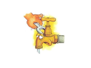 Simply Green  简单绿 