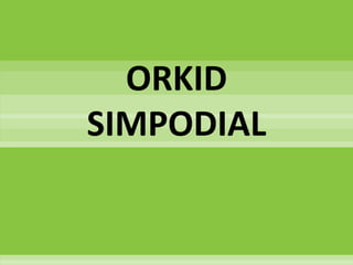 ORKID
SIMPODIAL
 