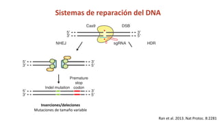 Simposio: Edición de genoma (Webinar introductorio)
