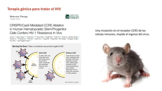 Simposio: Edición de genoma (Webinar introductorio)