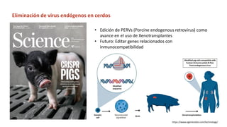 Simposio: Edición de genoma (Webinar introductorio)