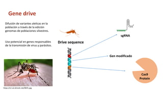 Simposio: Edición de genoma (Webinar introductorio)