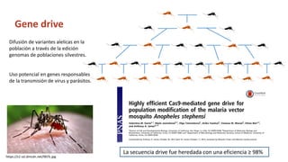 Simposio: Edición de genoma (Webinar introductorio)