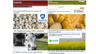 Simposio: Edición de genoma (Webinar introductorio)