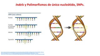 Simposio: Edición de genoma (Webinar introductorio)